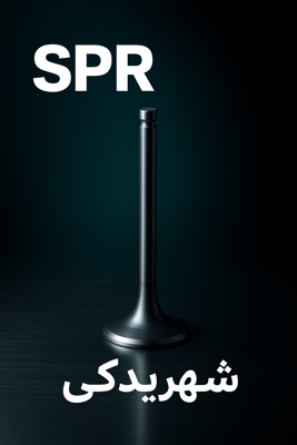 بررسی تخصصی سوپاپهای برند SPR: کیفیت، عملکرد و مزایای خرید بررسی تخصصی سوپاپهای برند SPR: کیفیت، عملکرد و مزایای خرید